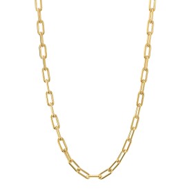 Strieborný náhrdelník Gold plated Link